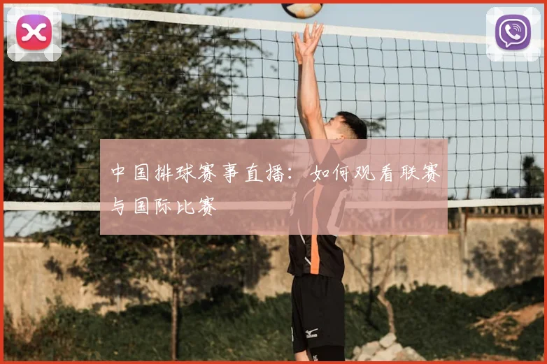 中国排球赛事直播：如何观看联赛与国际比赛