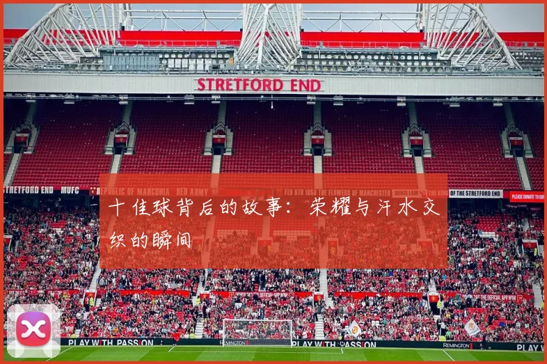 十佳球背后的故事:荣耀与汗水交织的瞬间